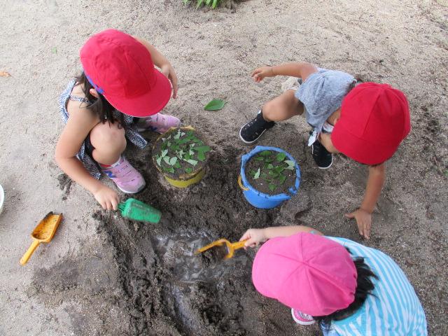 葉っぱのトッピング 恵泉トピックス 恵泉幼稚園 学校法人福岡ルーテル学園